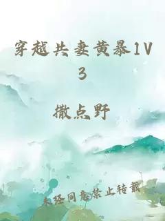 穿越共妻黄暴1V3