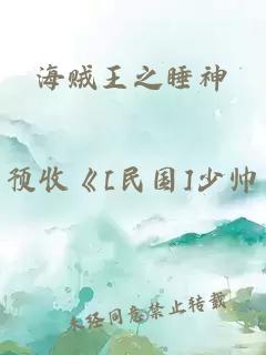 海贼王之睡神