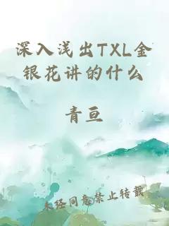 深入浅出TXL金银花讲的什么