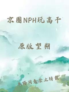 京圈NPH玩高干