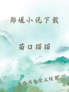 郑媛小说下载