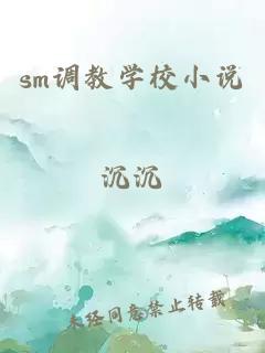 sm调教学校小说