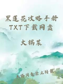 黑莲花攻略手册TXT下载网盘