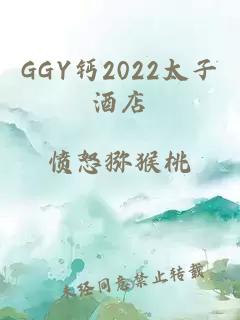 GGY钙2022太子酒店