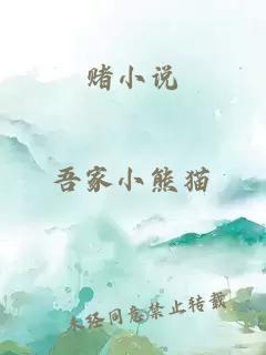 赌小说