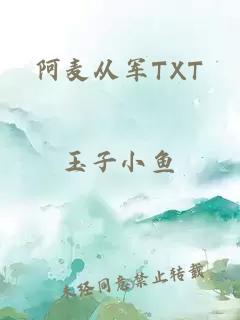 阿麦从军TXT