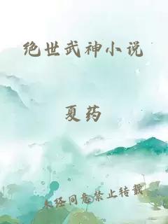 绝世武神小说