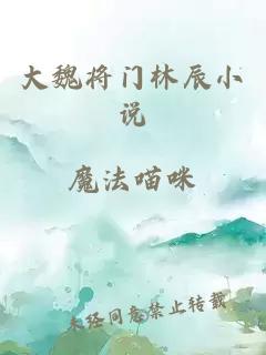 大魏将门林辰小说