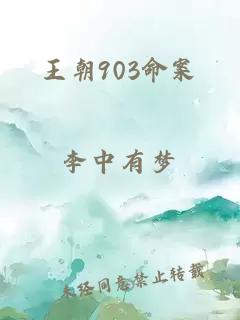 王朝903命案