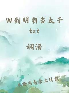 回到明朝当太子txt