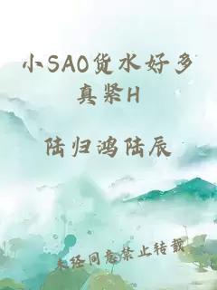 小SAO货水好多真紧H