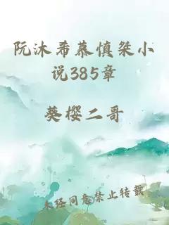 阮沐希慕慎桀小说385章