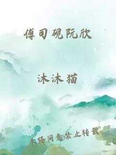 傅司砚阮欣