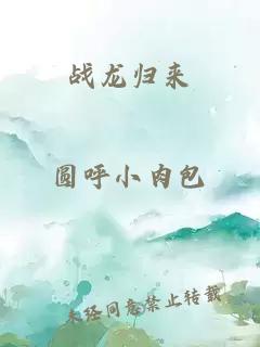 战龙归来