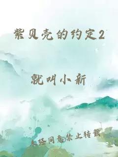 紫贝壳的约定2