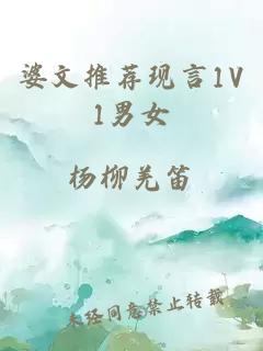 婆文推荐现言1V1男女