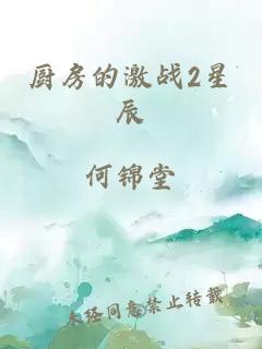 厨房的激战2星辰