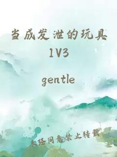 当成发泄的玩具1V3