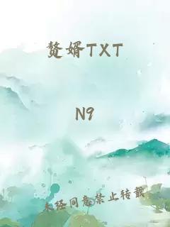 赘婿TXT