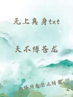 无上真身txt