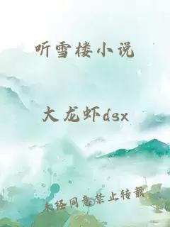 听雪楼小说