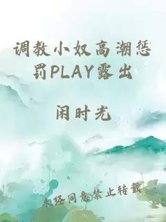 调教小奴高潮惩罚PLAY露出