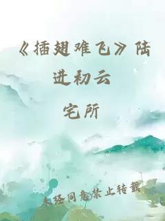 《插翅难飞》陆进初云