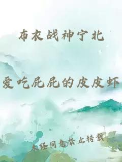 布衣战神宁北