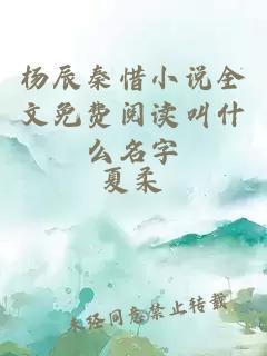 杨辰秦惜小说全文免费阅读叫什么名字