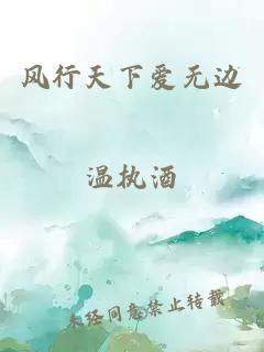 风行天下爱无边