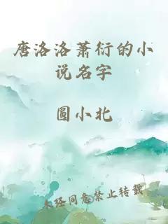 唐洛洛萧衍的小说名字