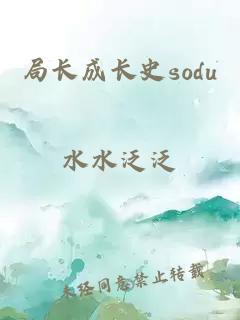 局长成长史sodu