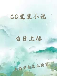 CD变装小说