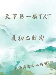 天下第一狠TXT