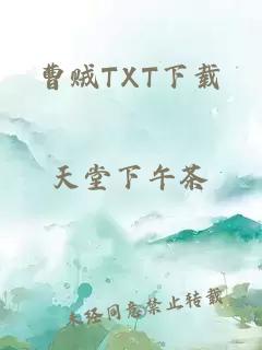 曹贼TXT下载