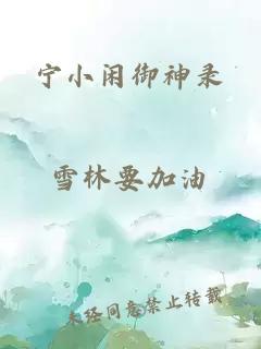 宁小闲御神录