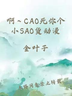 啊～CAO死你个小SAO货动漫