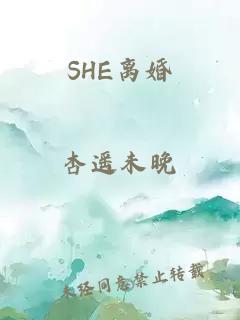 SHE离婚