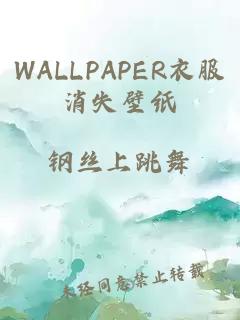 WALLPAPER衣服消失壁纸