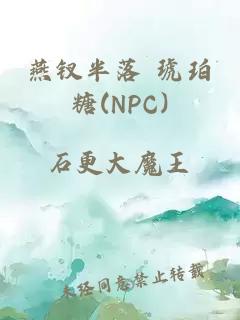 燕钗半落 琥珀糖(NPC)