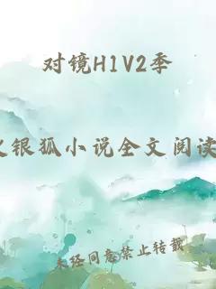 对镜H1V2季