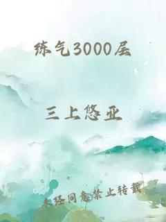 练气3000层