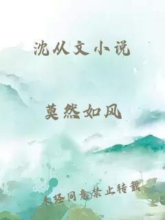 沈从文小说