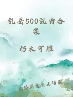 乱岳500乱肉合集