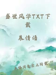 盛世风华TXT下载