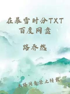 在暴雪时分TXT百度网盘