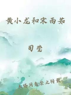 黄小龙和宋雨茹