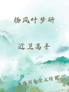 杨风叶梦研