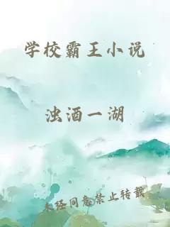 学校霸王小说