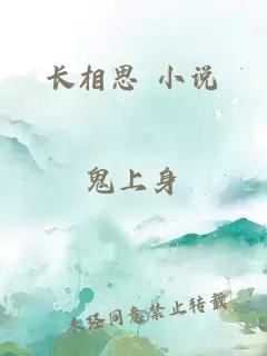 长相思 小说